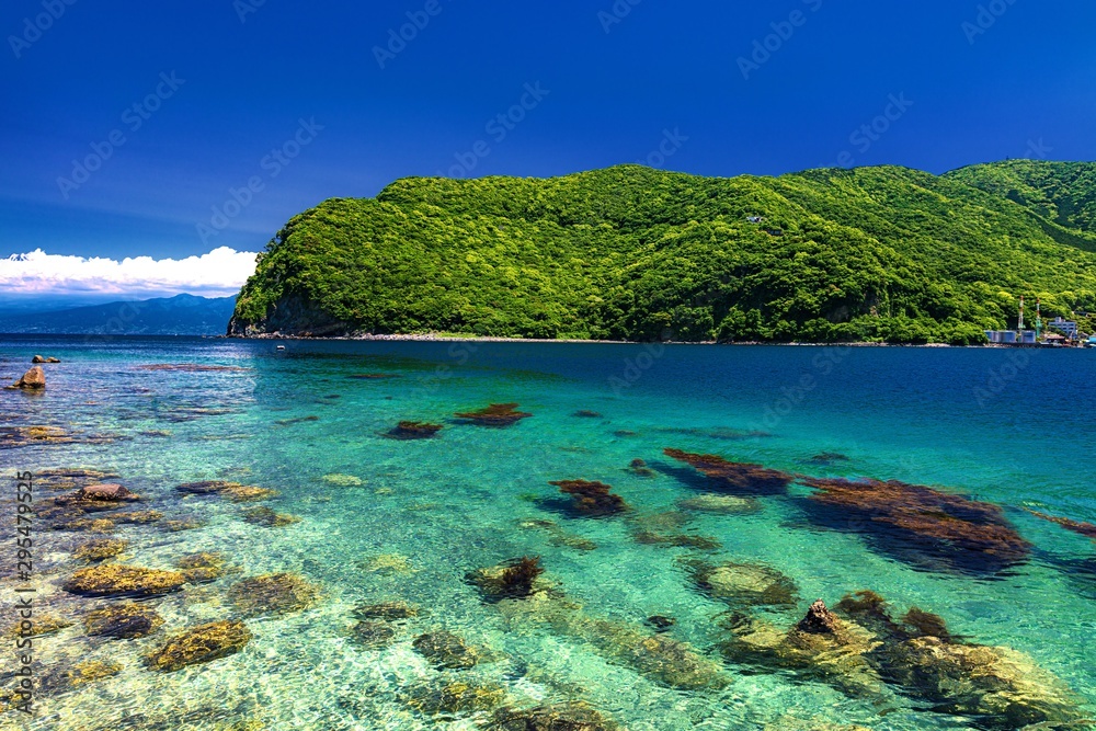 Fototapeta premium 静岡県・沼津市 西伊豆 初夏の御浜岬の風景