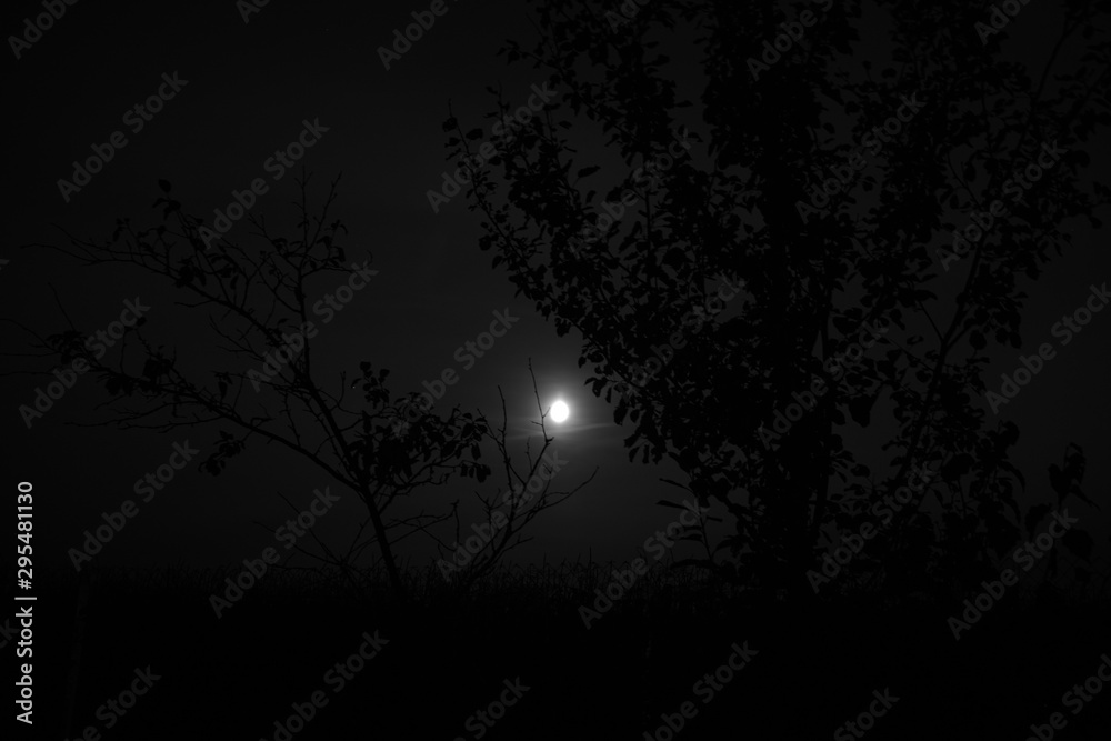 Fototapeta premium Black and White dark moon light at night after sunset.