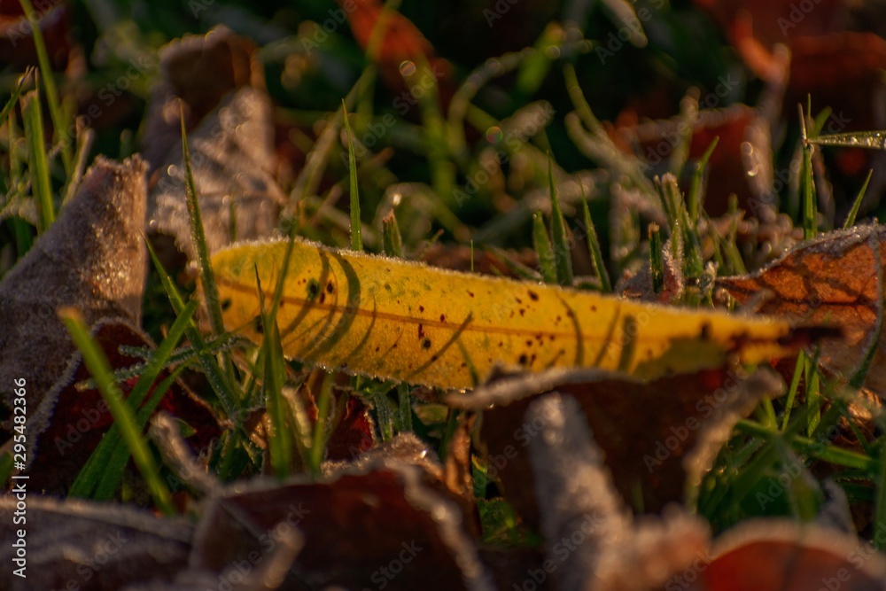 Naklejka premium Fall is here