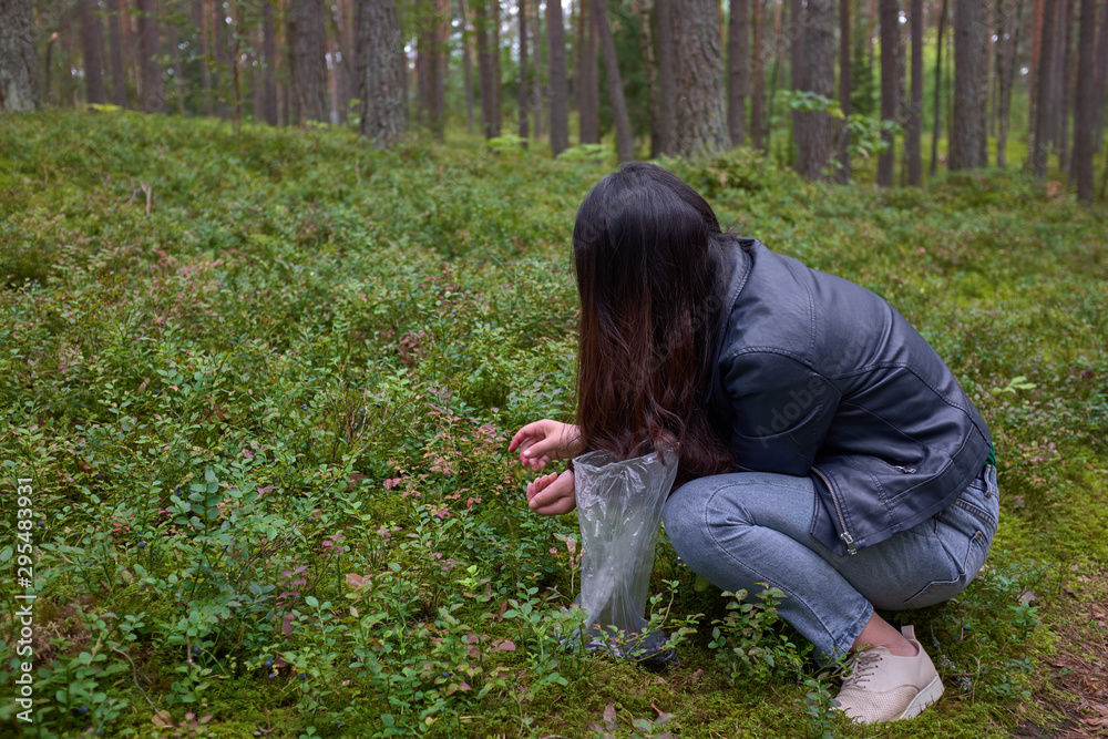Fototapeta premium Woman harvesting berries in the forest after rain