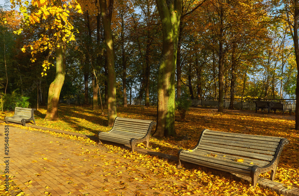 Park with bench on alley in autumn