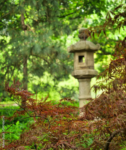 Japanese maple growing in an Asian garden with an incense burner © Ken