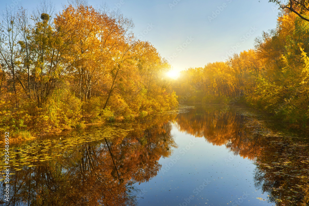 autumn colorful trees under morning sunlight reflecting in river