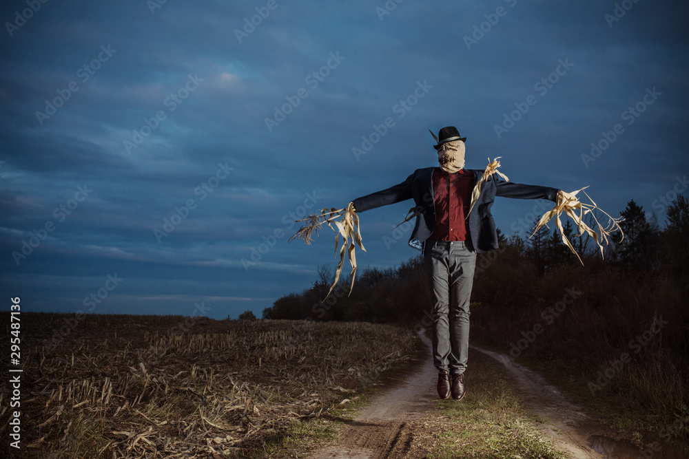 scarecrow stands in the autumn field against the evening sky scarecrow stands in the autumn field against the evening sky
