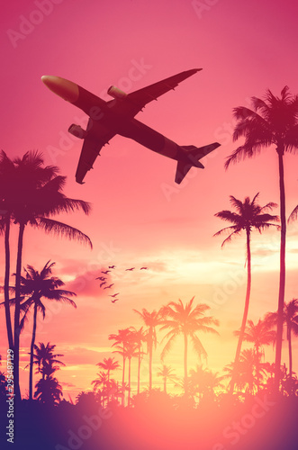 Airplane flying over tropical palm tree and birds on sunset sky abstract background. Copy space of business summer vacation and travel adventure concept.