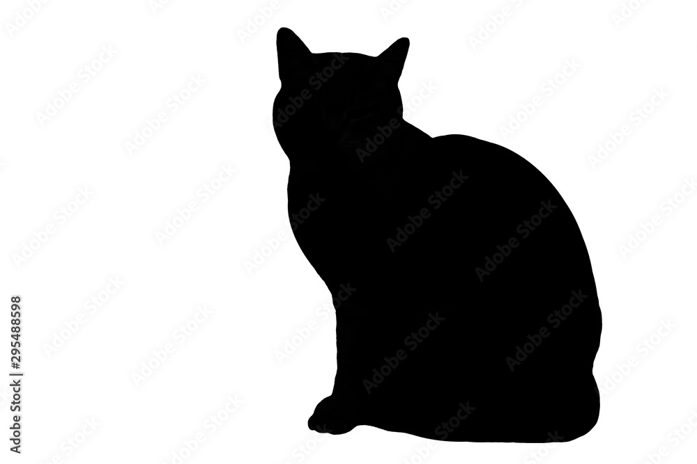 Black silhouette of a sitting cat on a white background. Stock ...