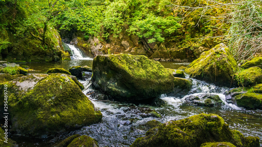 Stream or creek flowing between mossy rocks, water, autumn, Ireland Stream or creek flowing between mossy rocks, water, autumn, Ireland