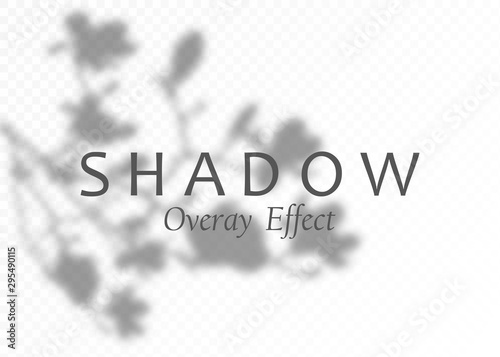 Shadow overlay effect. Transparent soft light and shadows from plant branches, leaves and foliage. Mockup of transparent shadow overlay effect and natural lightning. Vector.