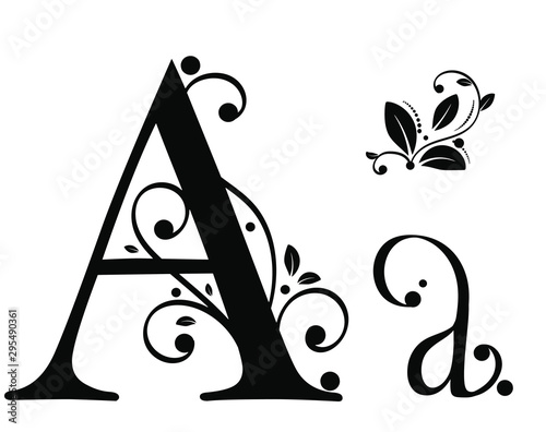  Decorated Alphabet with ornaments vintage vector, Letter A upper and lower case with leaves vector. Decoration vintage for invites card and other concept ideas. Illustration alphabet