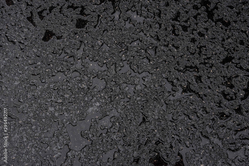 black wet asphalt background - obrazy, fototapety, plakaty 
