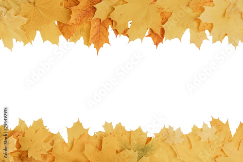 frame composed of yellow and orange autumn leaves isolated on white