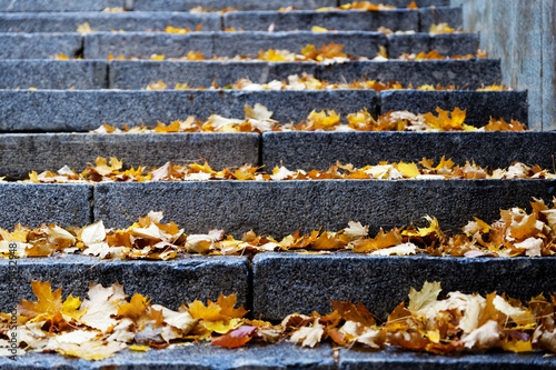 Closeup steps of stone stairway with yellow fall foliage. Shallow focus.