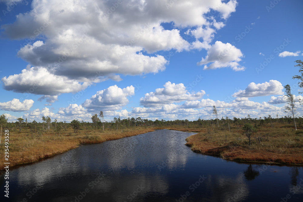 swamp autumn National Park Kemeri Latvia landscapes swamp autumn National Park Kemeri Latvia landscapes