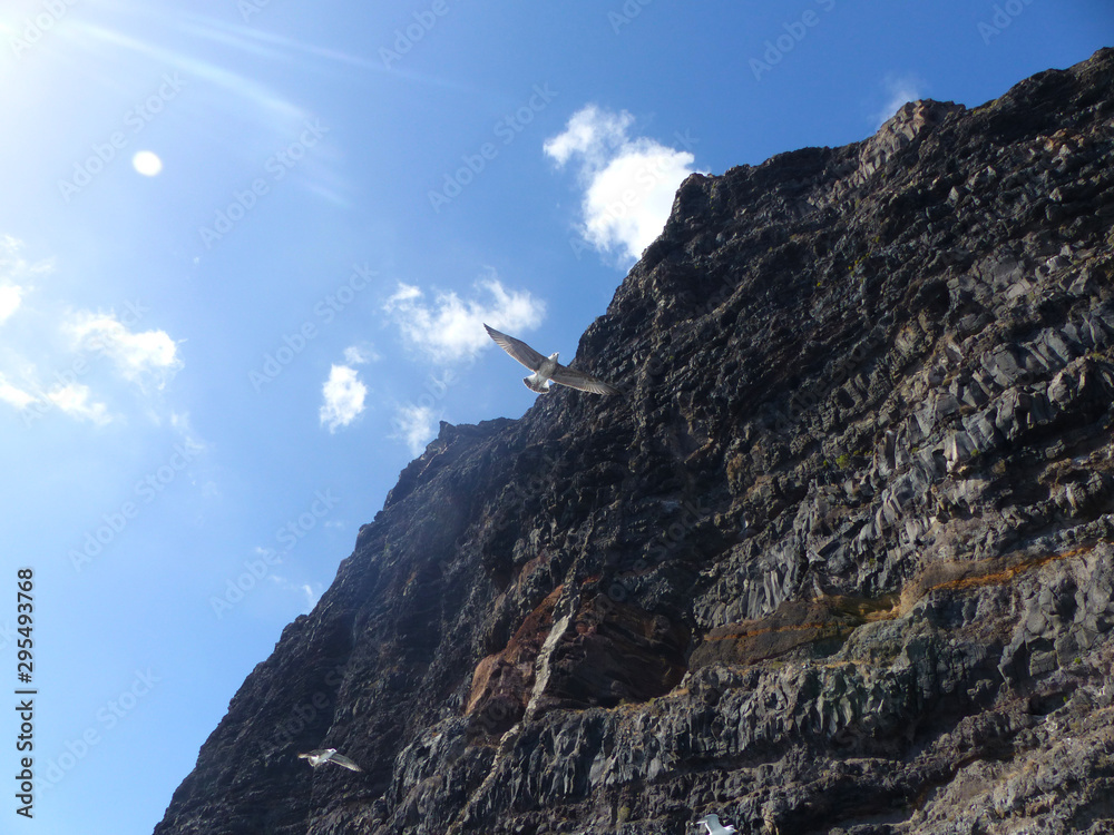 Naklejka premium Acantilados de los Gigantes, landscape of Cliffs of the Giants, Tenerife island, Canary islands, Spain