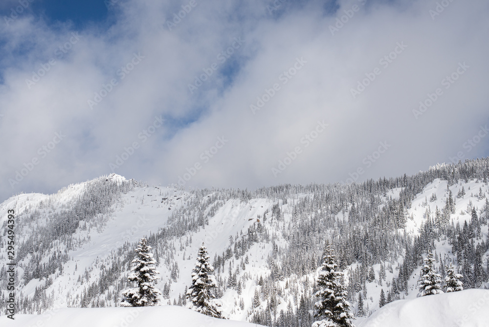 winter mountain landscape with trees and blue sky