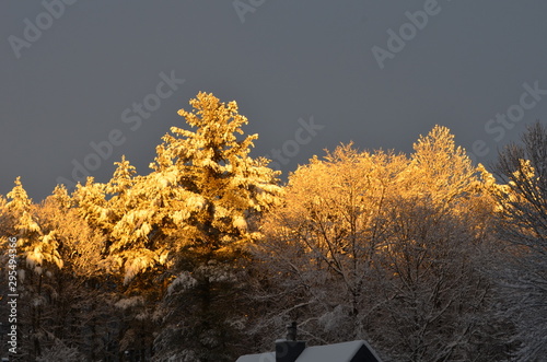 Snowy sunset