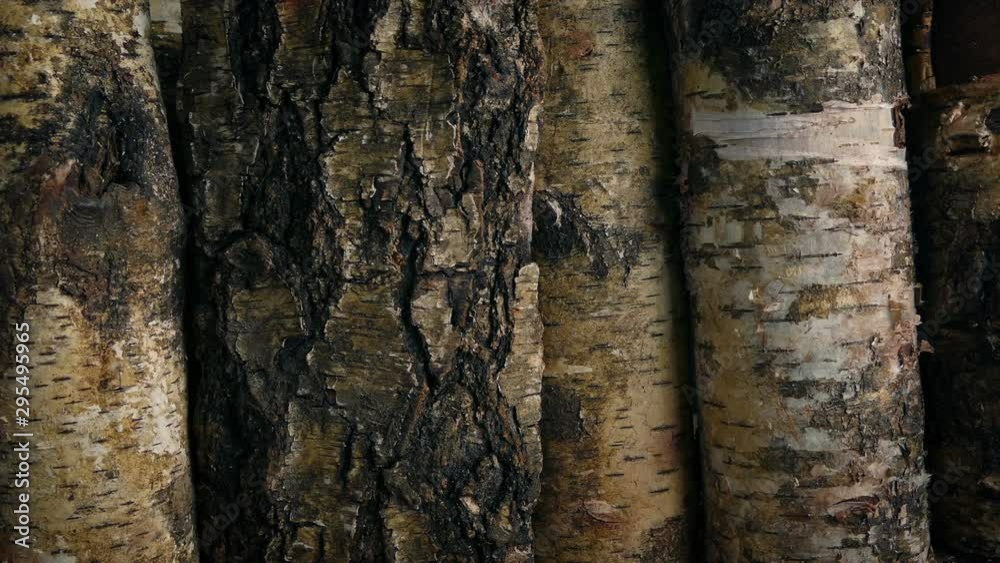 Heavy Rain On Skylight Stacked Logs Fire Wood Moving ShotIn The Evening Heavy Rain On Skylight Stacked Logs Fire Wood Moving ShotIn The Evening