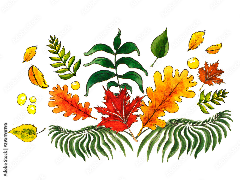 autumn leaves flowers pattern watercolor drawing illustration