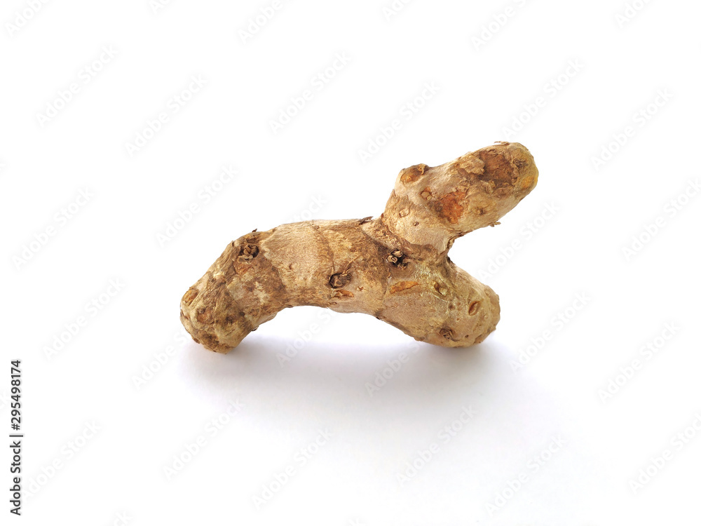 Curcuma heyneana known as Temu giring in Indonesia isolated on white background. Raw material for traditional medicine herb, alternative Health therapy for anthelmintic Curcuma heyneana known as Temu giring in Indonesia isolated on white background. Raw material for traditional medicine herb, alternative Health therapy for anthelmintic