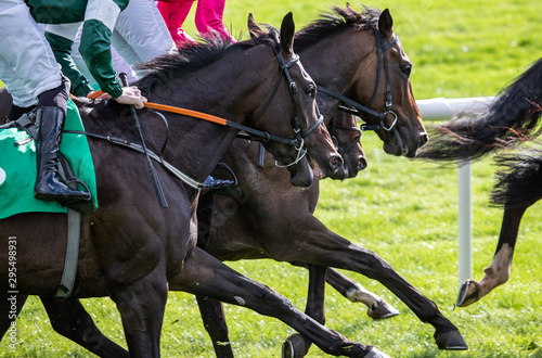 Close up on speeding racehorses competing in a race