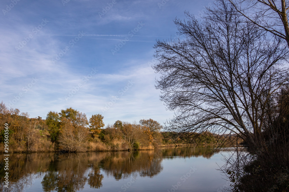 reflection of trees in water reflection of trees in water