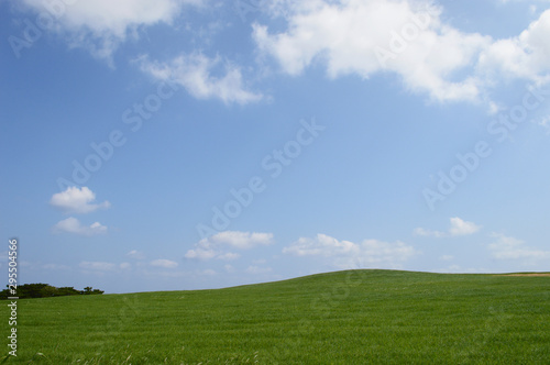 青い空と緑の草原