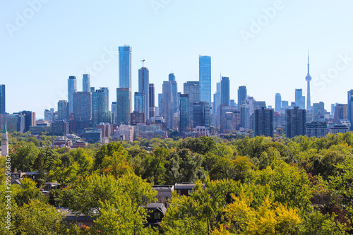 Photography City skyline in urban forest