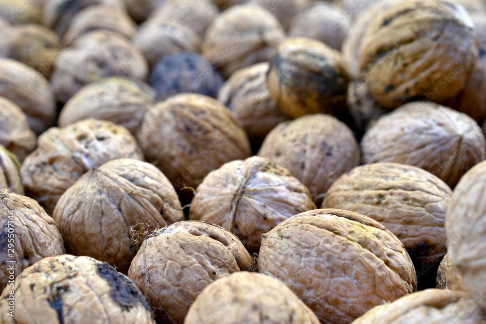 image of organic nuts, autumn concept , shallow dof image of organic nuts, autumn concept , shallow dof