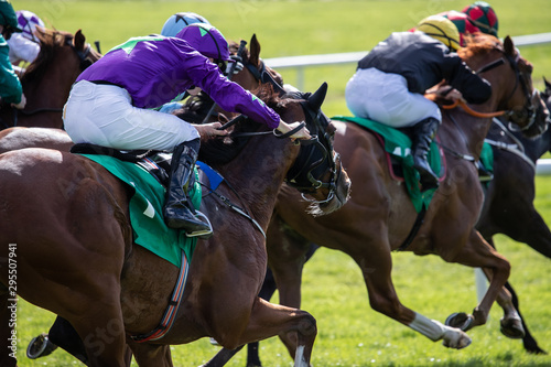 Horse racing action on the track,  close up on multiple race horses and jockeys galloping for position © Gabriel Cassan