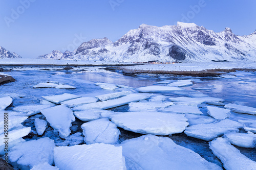 Ice floes on Lofoten islands in winter