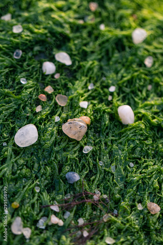 Moss, pebbles, grass macro close up texture Moss, pebbles, grass macro close up texture