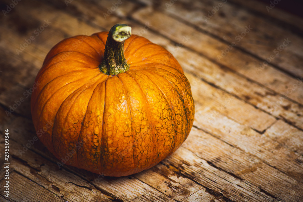 Punkins on a rustic background, Thanksgiving abstract Punkins on a rustic background, Thanksgiving abstract