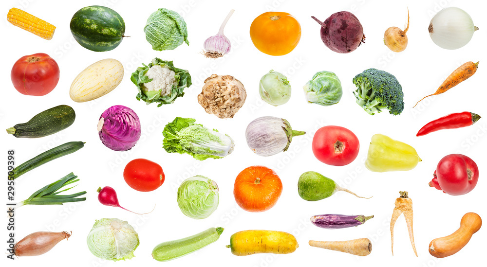 many various fresh ripe vegetables isolated - obrazy, fototapety, plakaty 