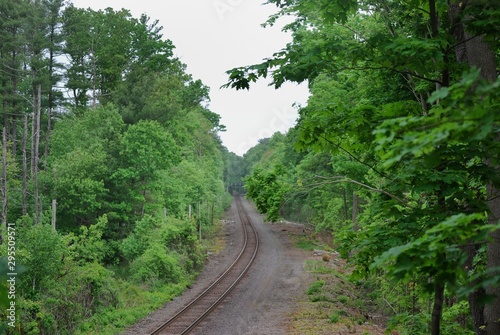 old railroad tracks through a treelined corrridor