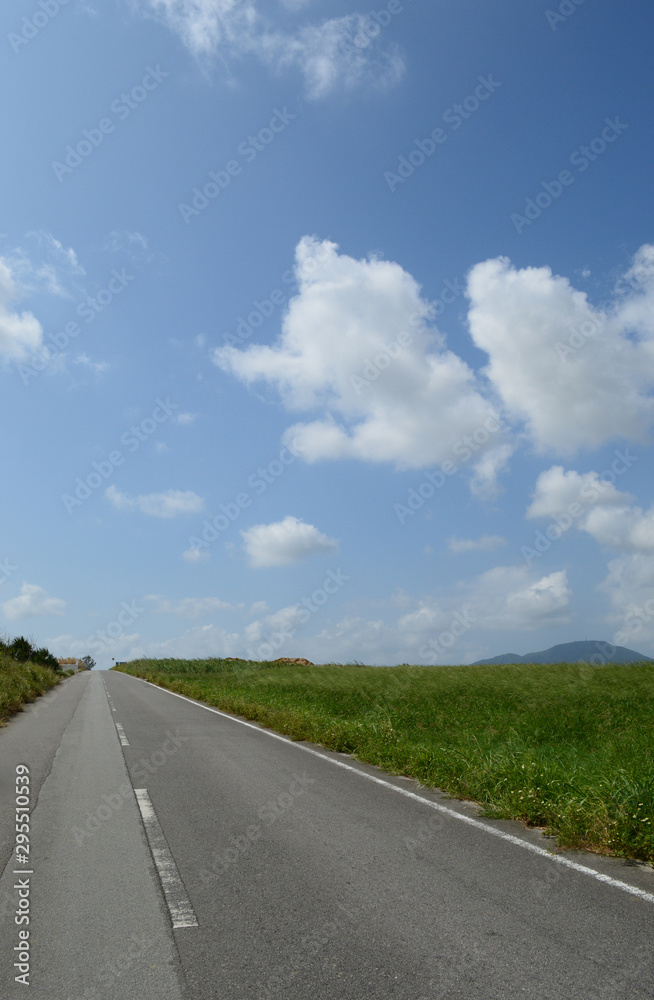 Fototapeta premium 草原の横に伸びる直線の一本道