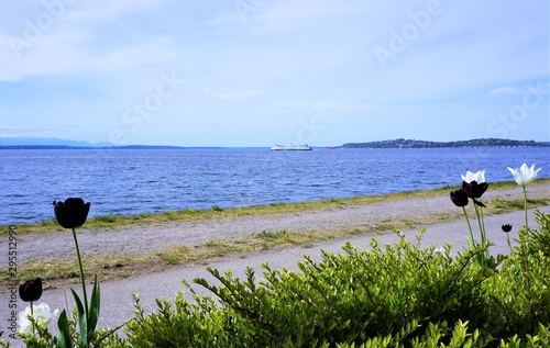 Ocean Front waterscape floral foreground