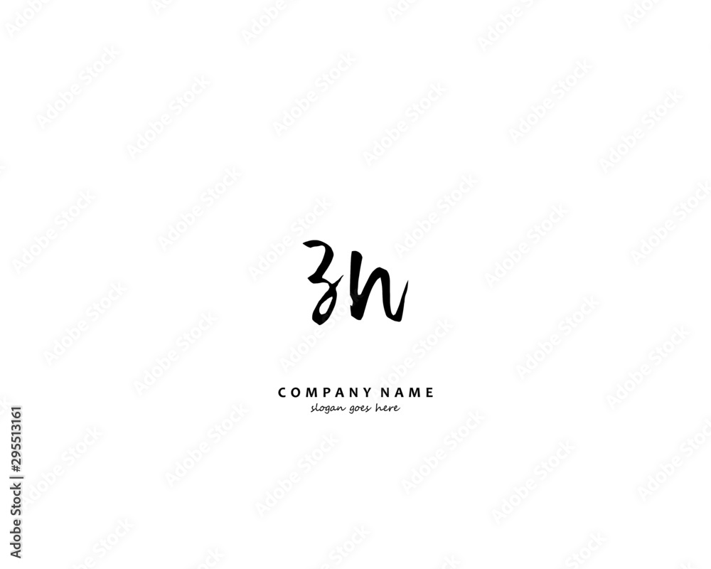 ZN Initial handwriting logo vector ZN Initial handwriting logo vector