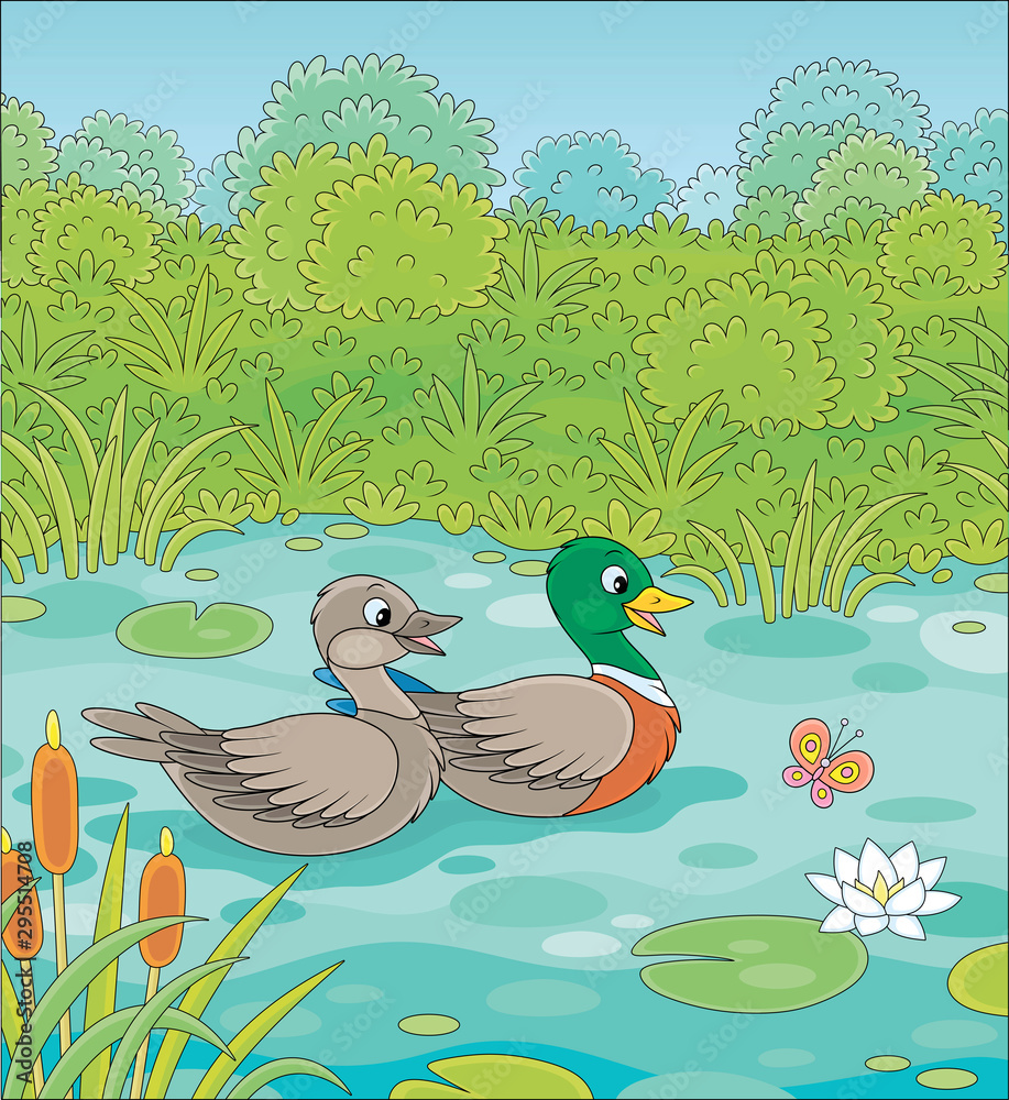 Wild ducks swimming in a small blue lake on a green meadow on a summer day, vector illustration in a cartoon style