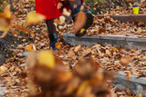 A girl in black boots and a red coat kicks yellow and red foliage strolling in the park alone on a clear autumn day during a fall. Freshness, nature and fun.