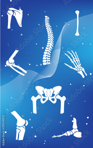 Medical infographic orthopedic anatomy. Abstract background with spine, pelvis, knee, foot, shoulder, elbow, hand, humerus bones and joints. Orthopedics medical.Blue and white. Vector illustration.