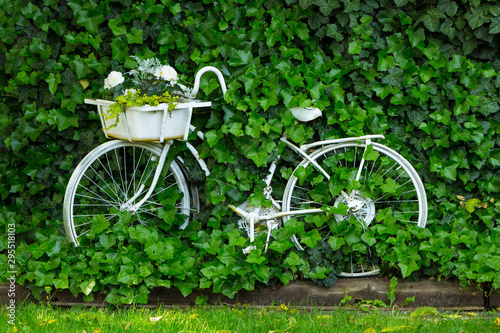 White vintage bicycle in garden setting