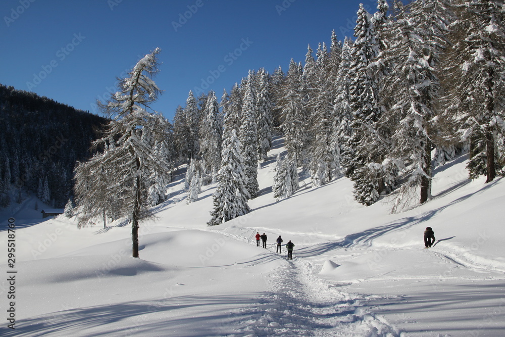 Skitourengeher in Winterlandschaft