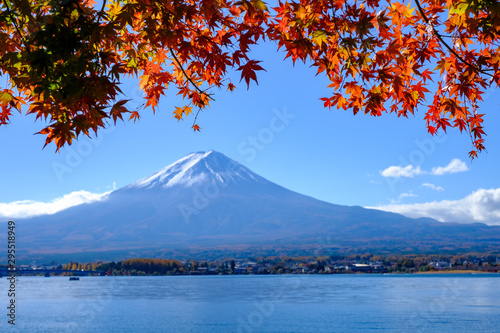 河口湖から見る秋の富士山 © 早川 義昭