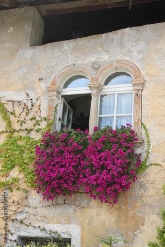 Altes Fenster mit Blumen