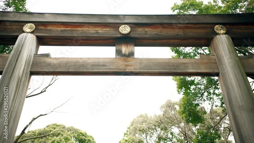 Pov point of view panning shot of Meiji shrine entrance torii gate on street in Tokyo with green tree foliage during spring looking up at sky