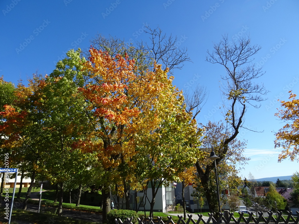 Naklejka premium Ilmenau im Oktober