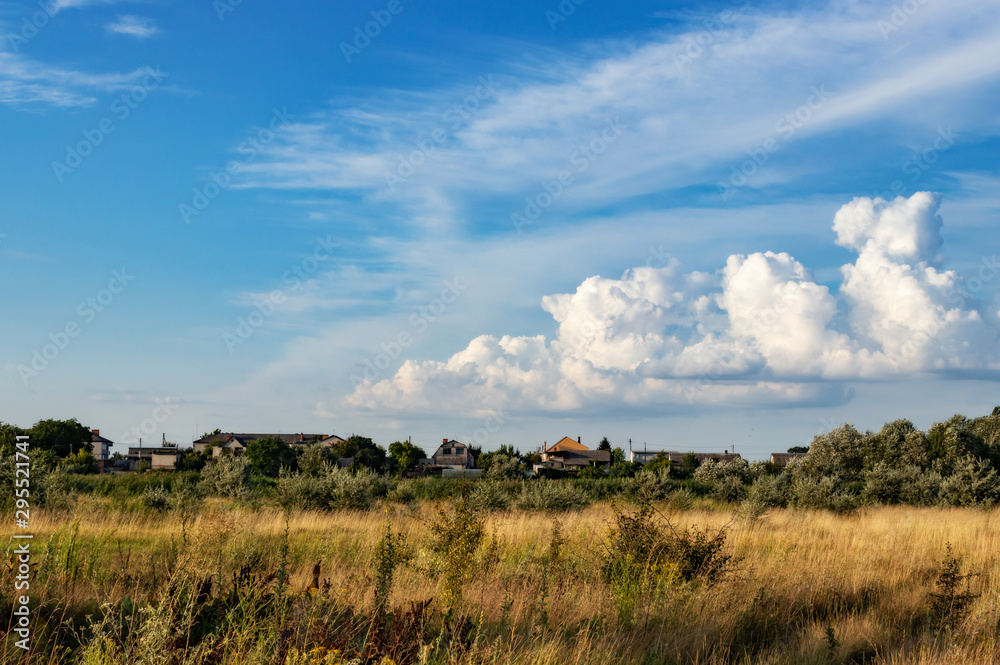 Field and sky. Landscape. Clouds and blue sky over the yellow field.