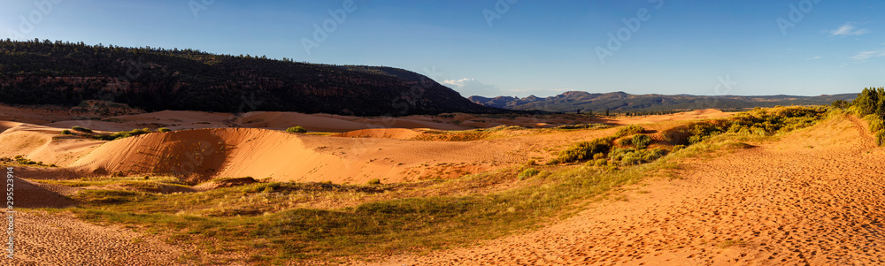 Panoramic View of Coral Pink Sand Dunes, Utah