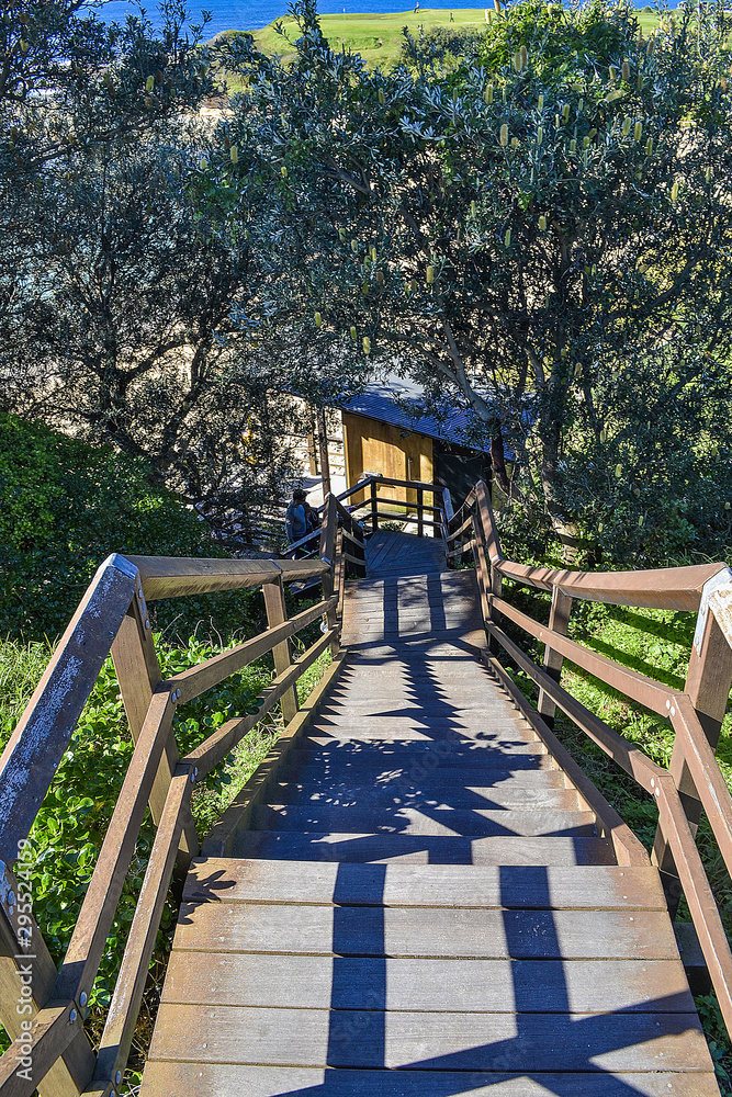 wooden stairs at Sydney beaches, little bay Australia wooden stairs at Sydney beaches, little bay Australia