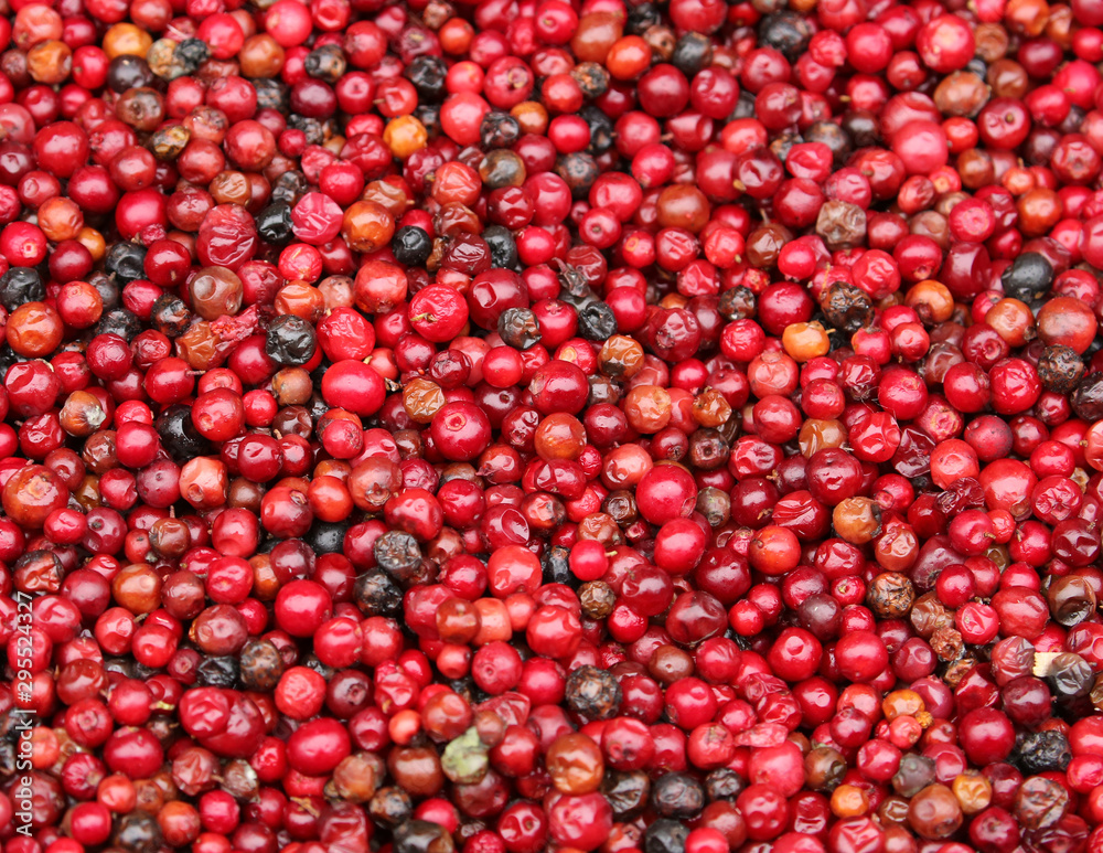 fresh cranberries on a market. fresh cranberries on a market.